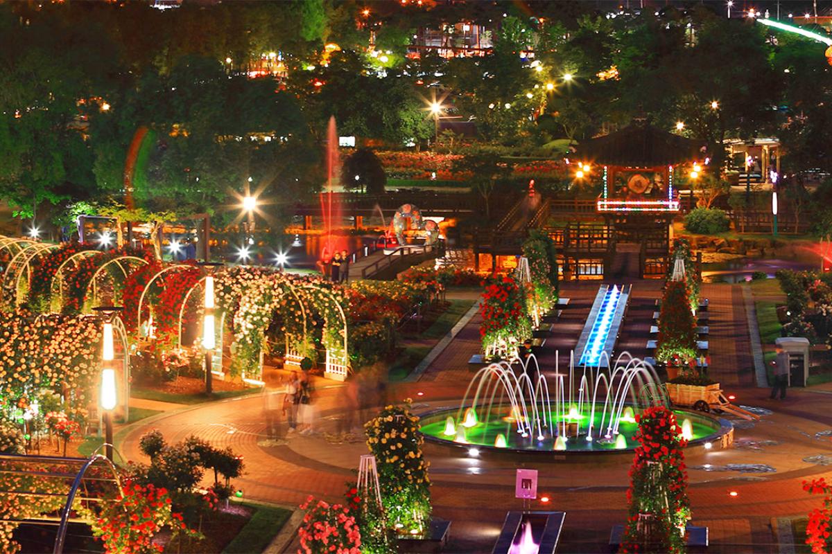 전남 가볼만한곳, 곡성세계장미축제 총정리