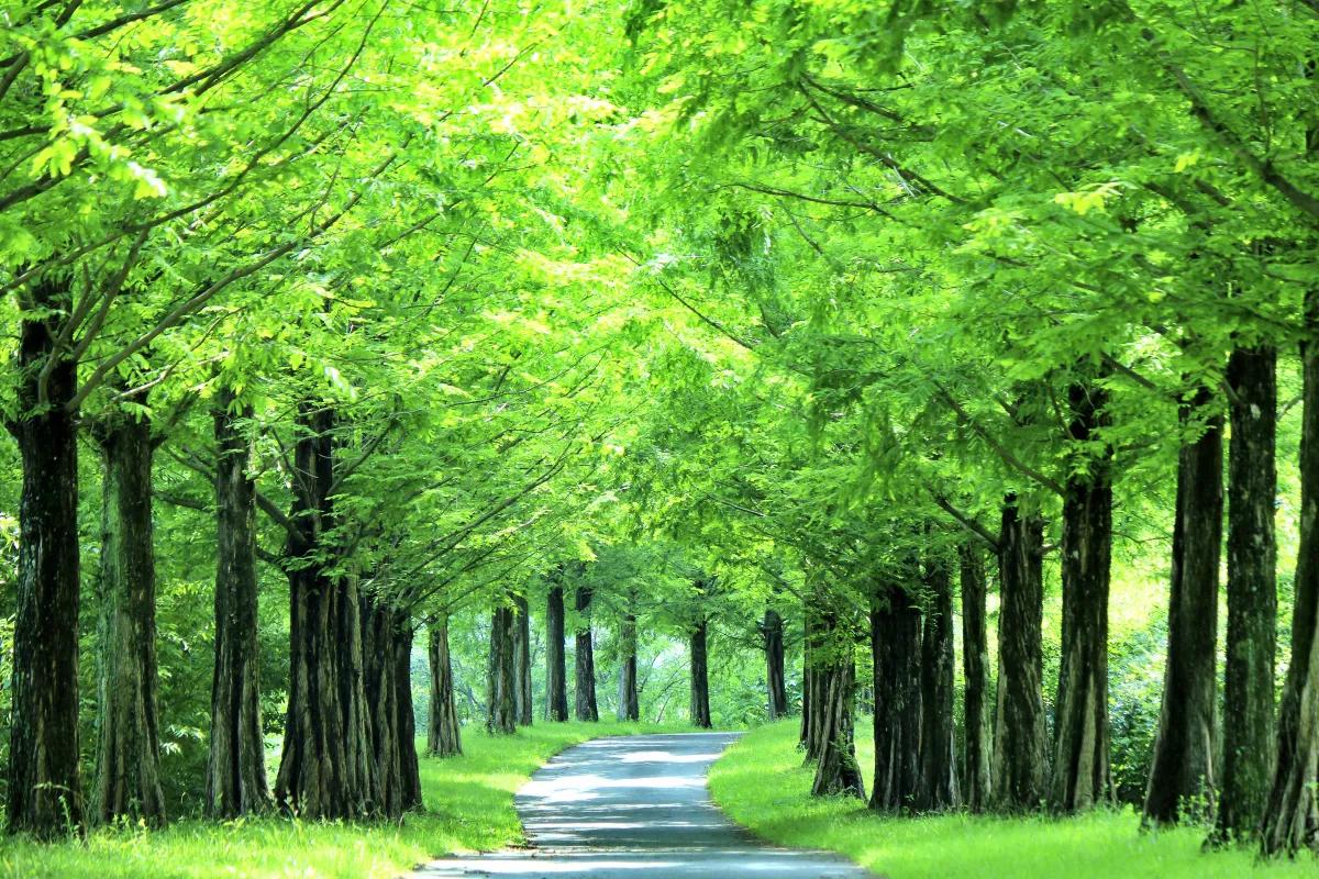 “지금 가야 특별하다”… 진주 경상남도수목원 힐링 명소 등극