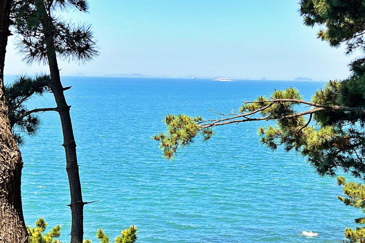 보령 가볼만한 곳 죽도 상화원 산책 추천 코스