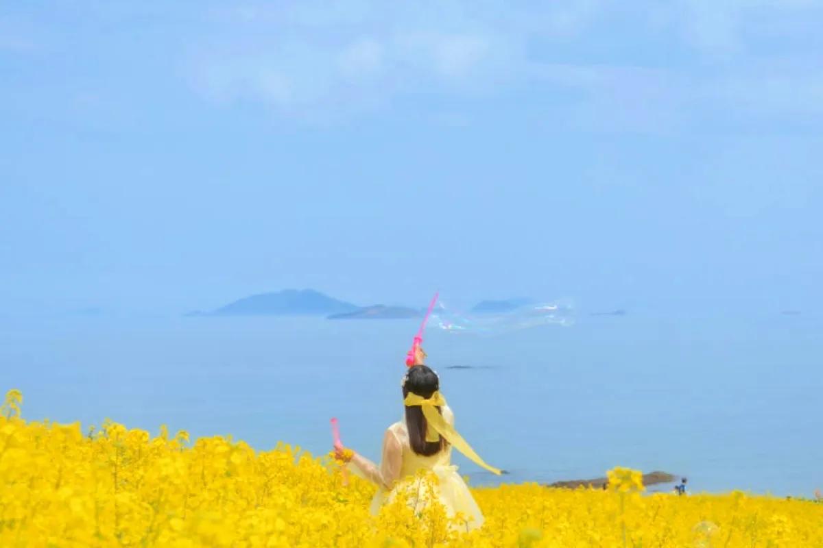 “제주 말고 또 있다”… 부안 수성당 노란 물결 유채꽃 힐링 여행지