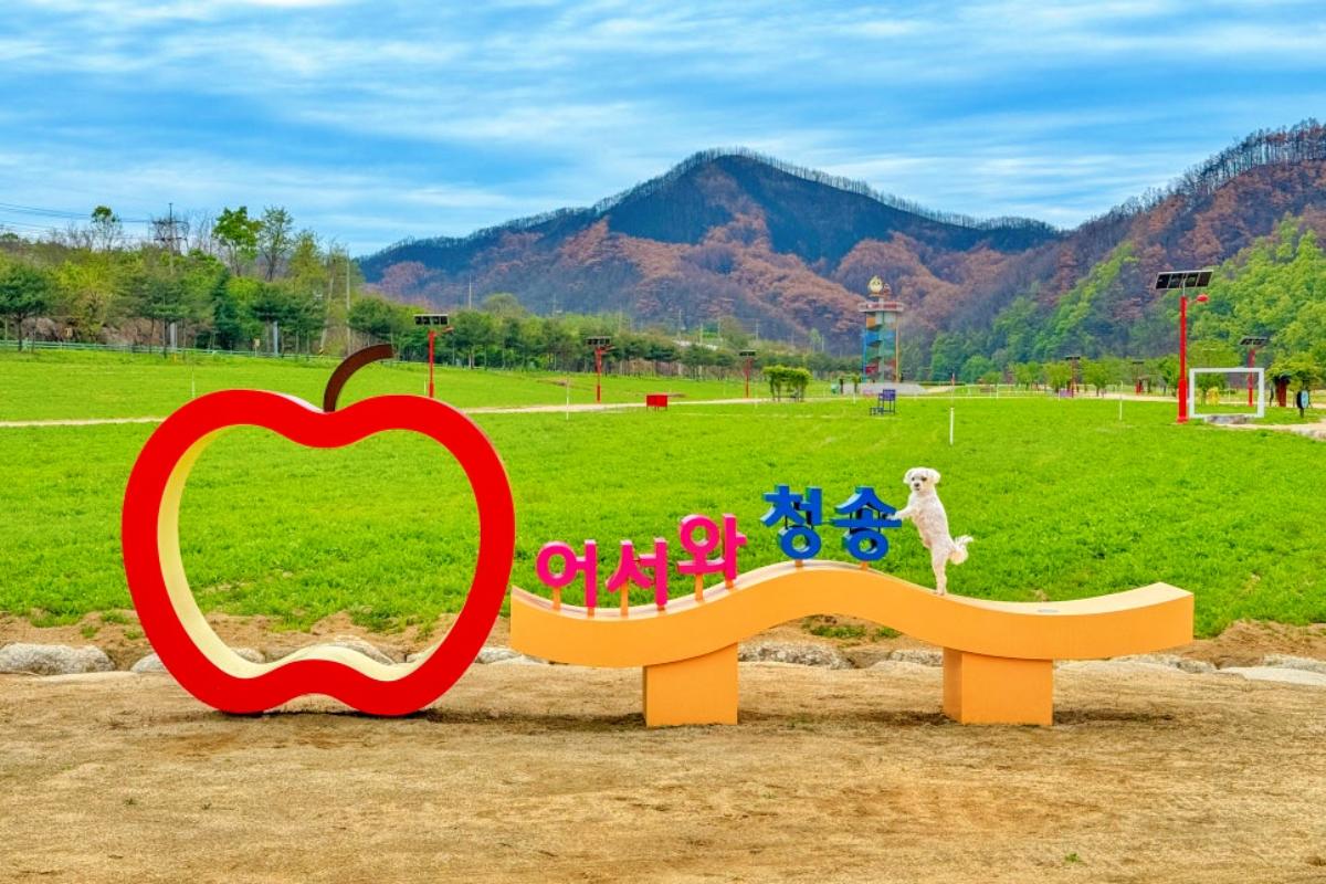청송 가볼만한곳, 애견동반 명소 청송정원