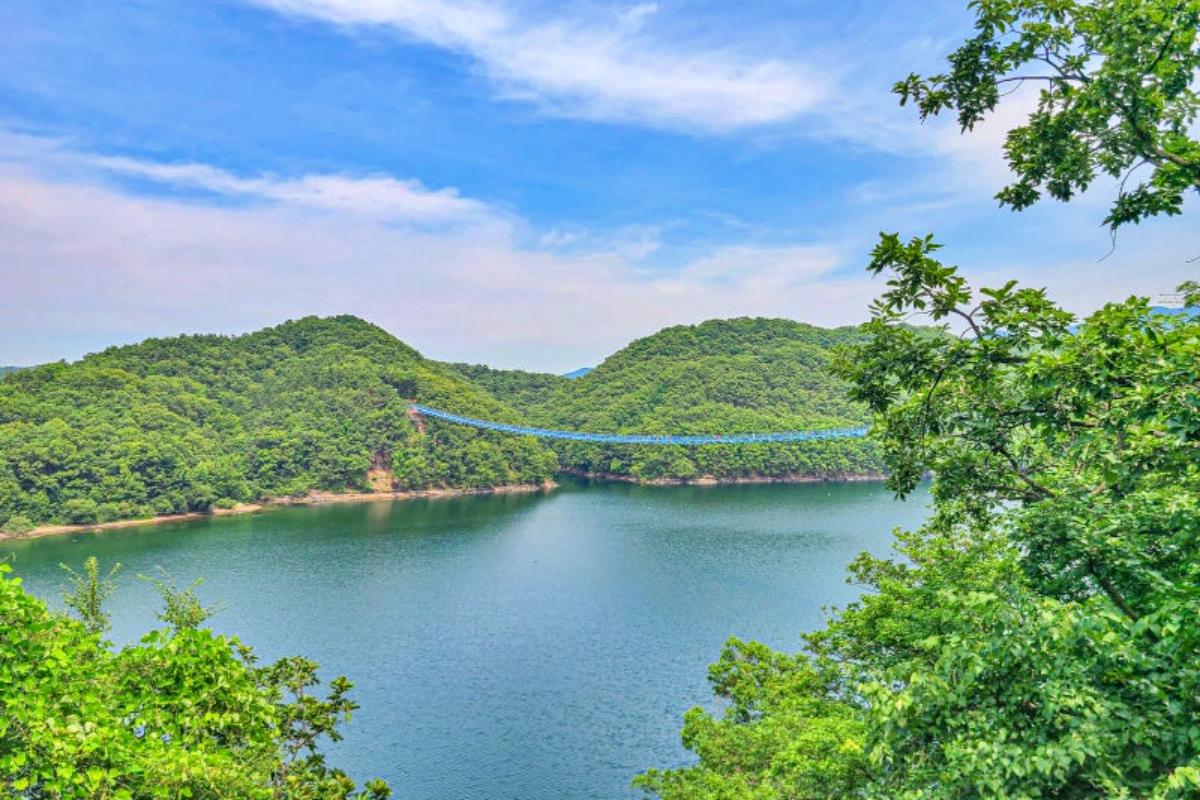 “떠 있는 듯한 긴장감에 자연의 매력까지”… 요즘 인기 폭발 진천 출렁다리