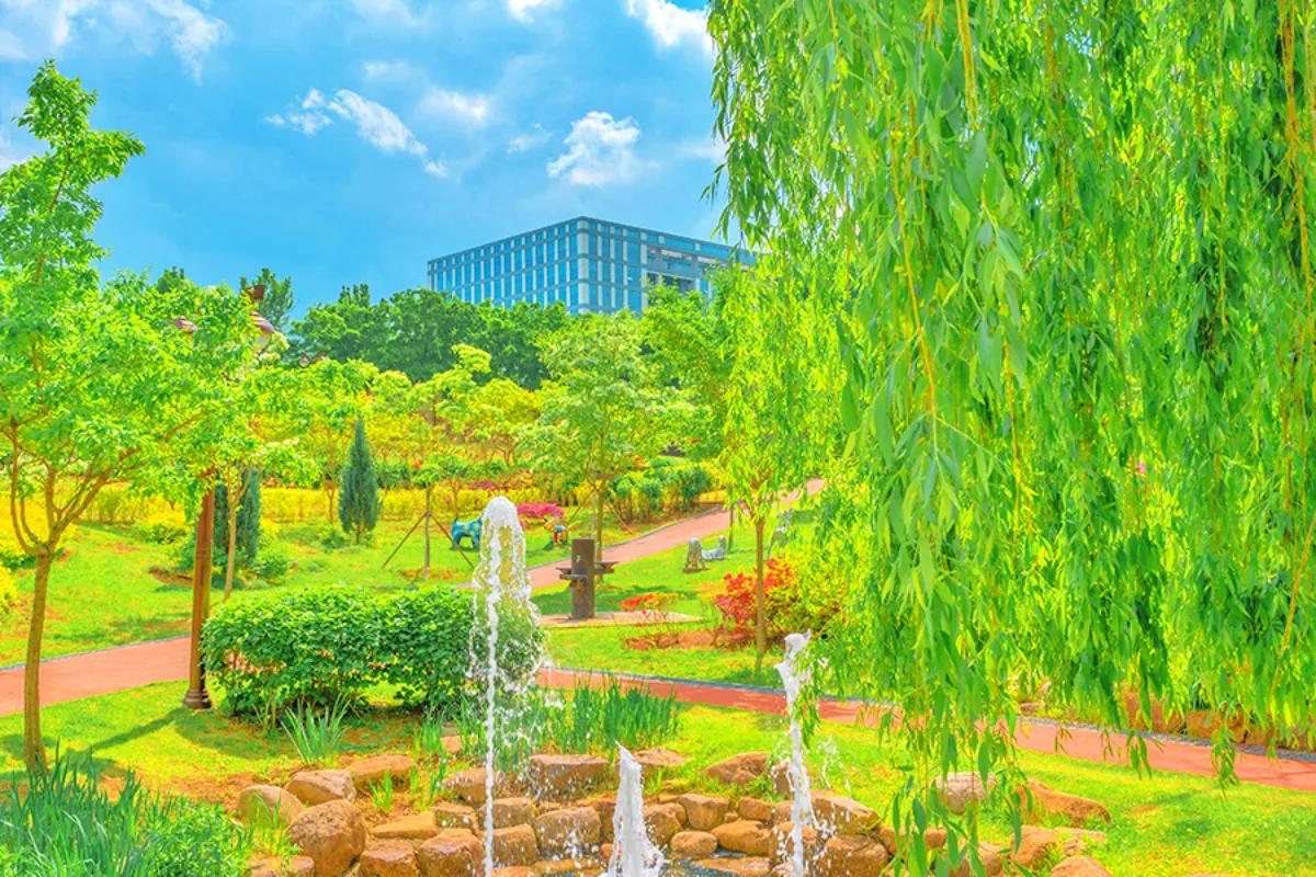 “5월에 가장 조용한 쉼표”… 대구 이현공원 현지인 추천 여행지