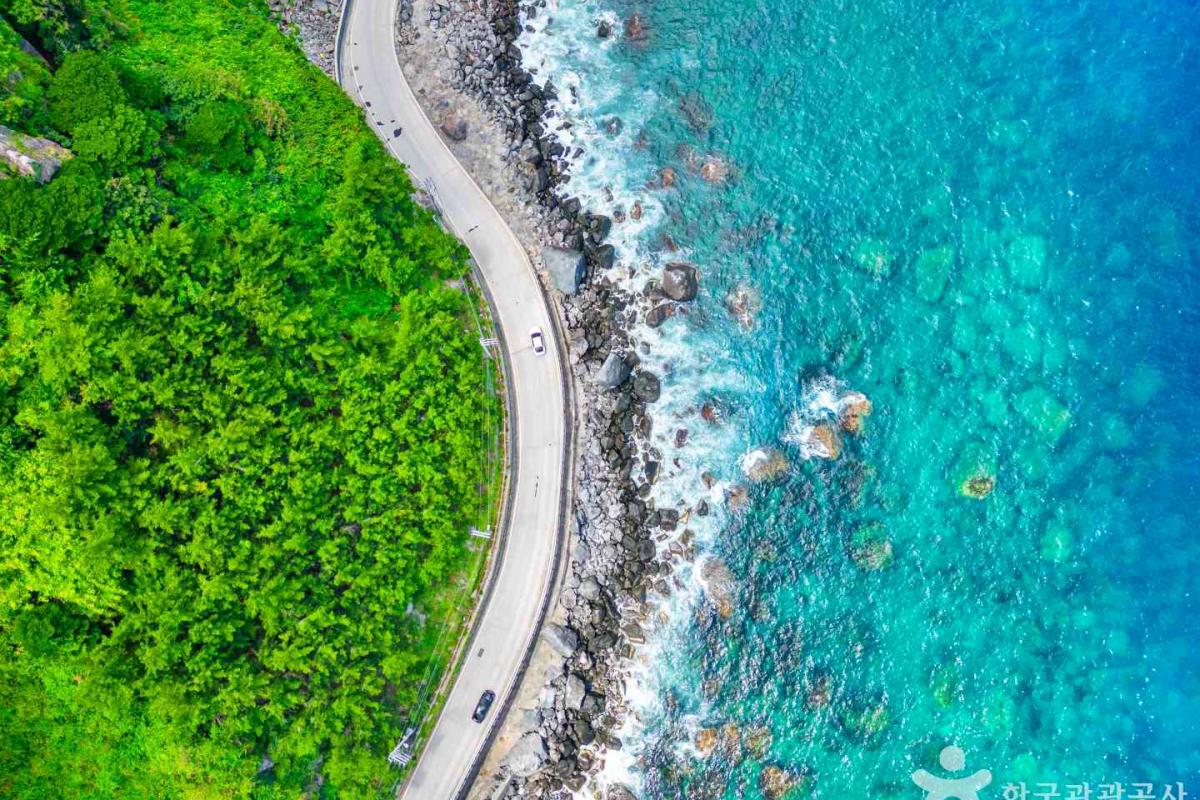 “독도는 우리 땅” 함성 울리는 곳… 자부심 가득한 동해 끝 섬 여행