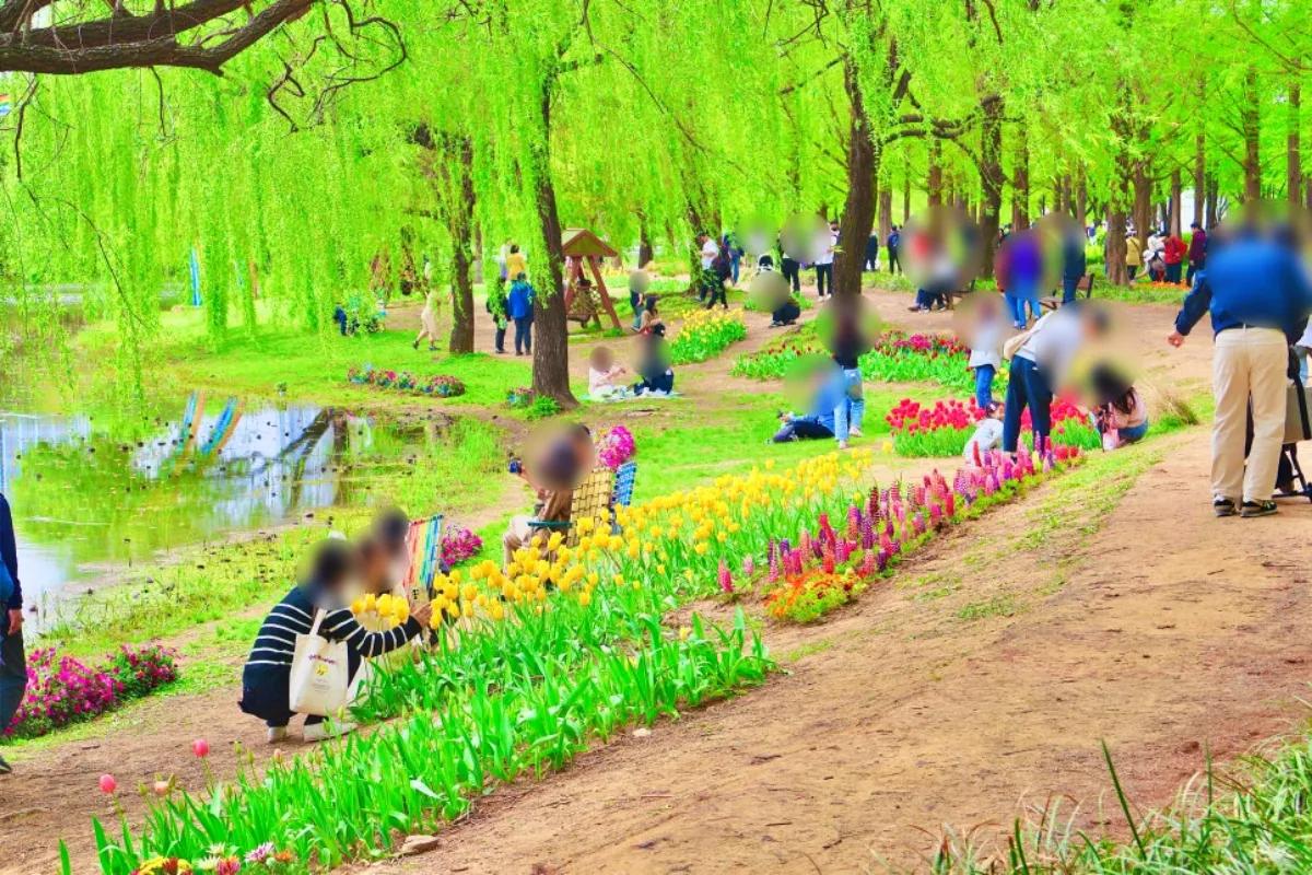 “장미·티니핑·수직정원까지”… 고양국제꽃박람회 가족 나들이 명소