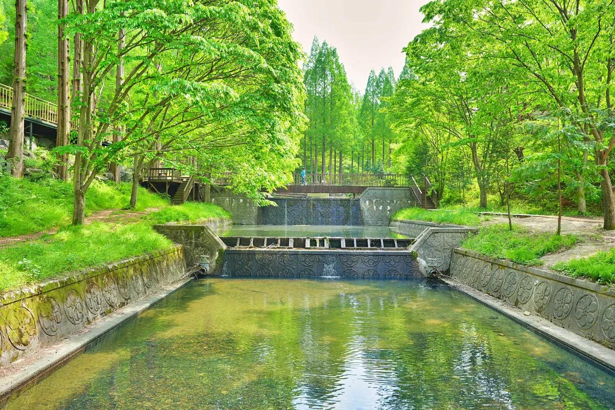 “무료 피톤치드 쏟아진다”… 논산 온빛자연휴양림 숲속 산책 명소