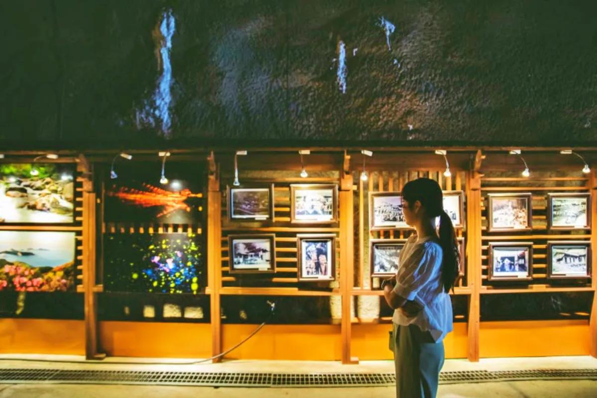 “SNS에서 핫해요”… 평창 무주 ‘머루와인동굴’ 감성 사진 명소