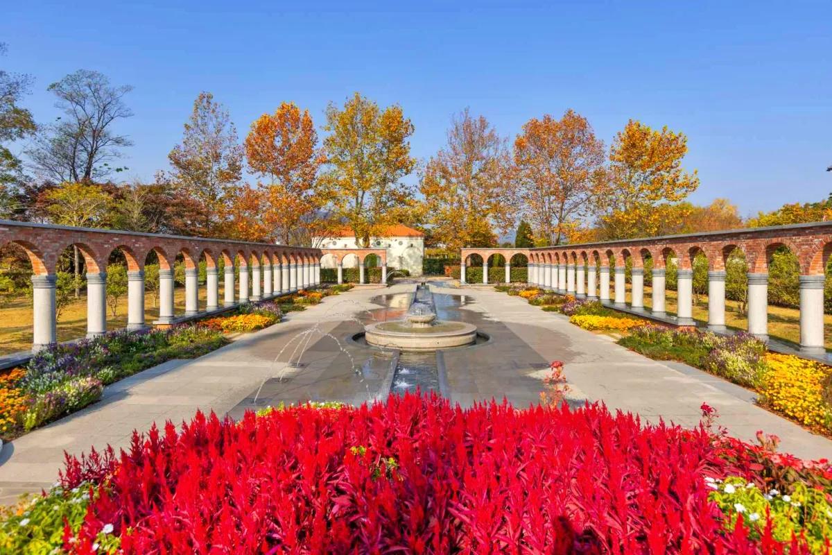 “전국 1위 관광지 증명”… 순천만국가정원 36만 명 몰린 비결