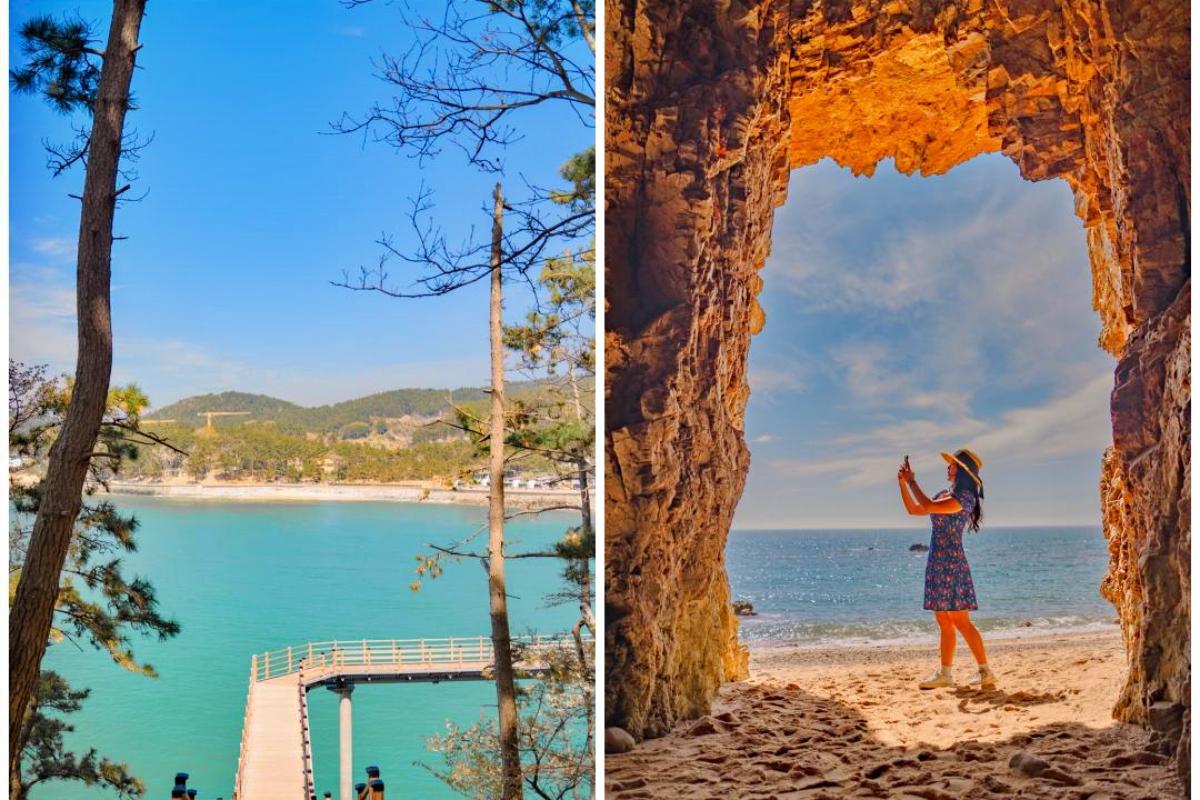 “SNS에서 뜨는 중”… 태안 뭍닭섬 데크길 & 해식동굴 인생샷 명소