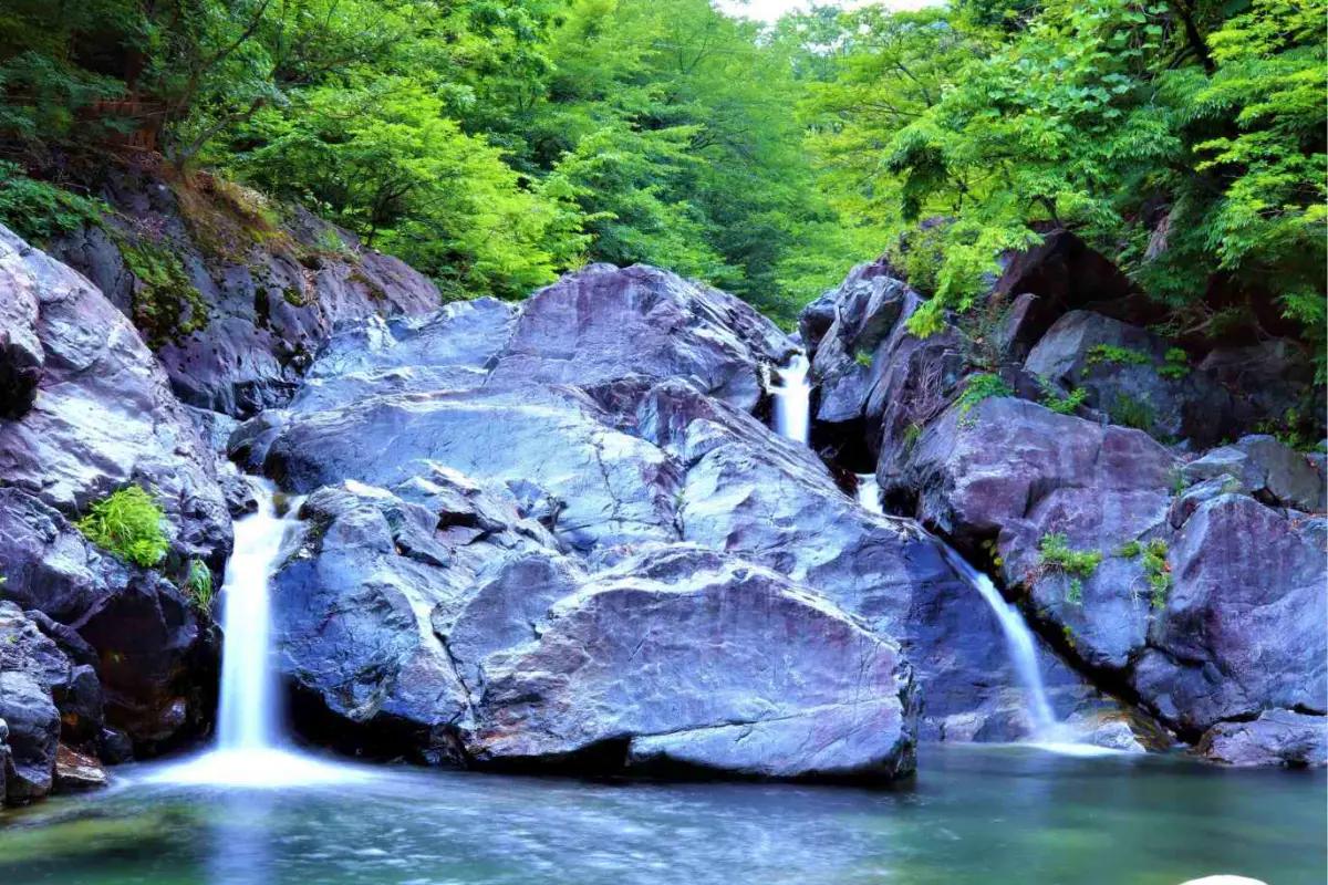 서울 근교에서 피서 찾는다면? 물 맑기로 소문난 경기도 계곡 베스트 4