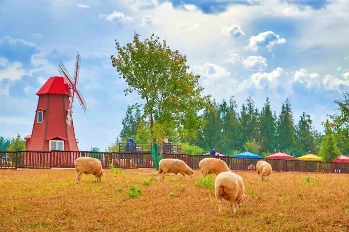 서울 근교 경기도 여행 Best 10, 커플과 가족이 함께 즐기는 힐링 명소